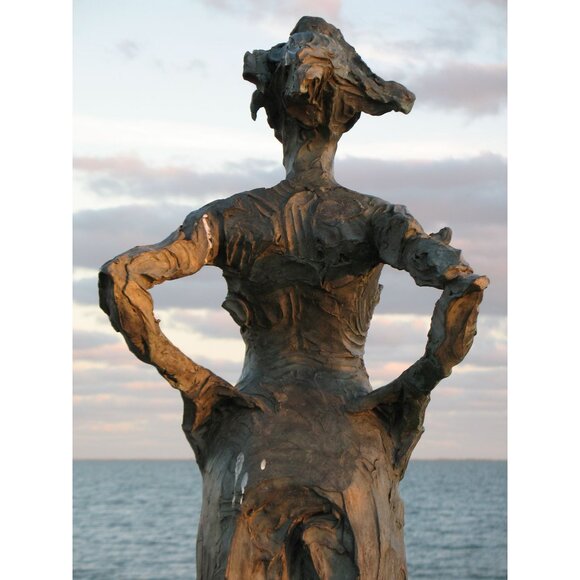 Canon Powershot A620 Digital Camera 7.1MP 4X Optical Zoom Video 2GB SD Card MINT - Picture 7 of 16